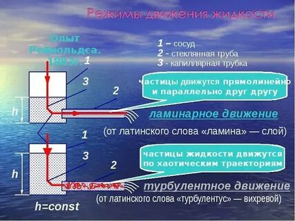 Она движется с моими жидкостями