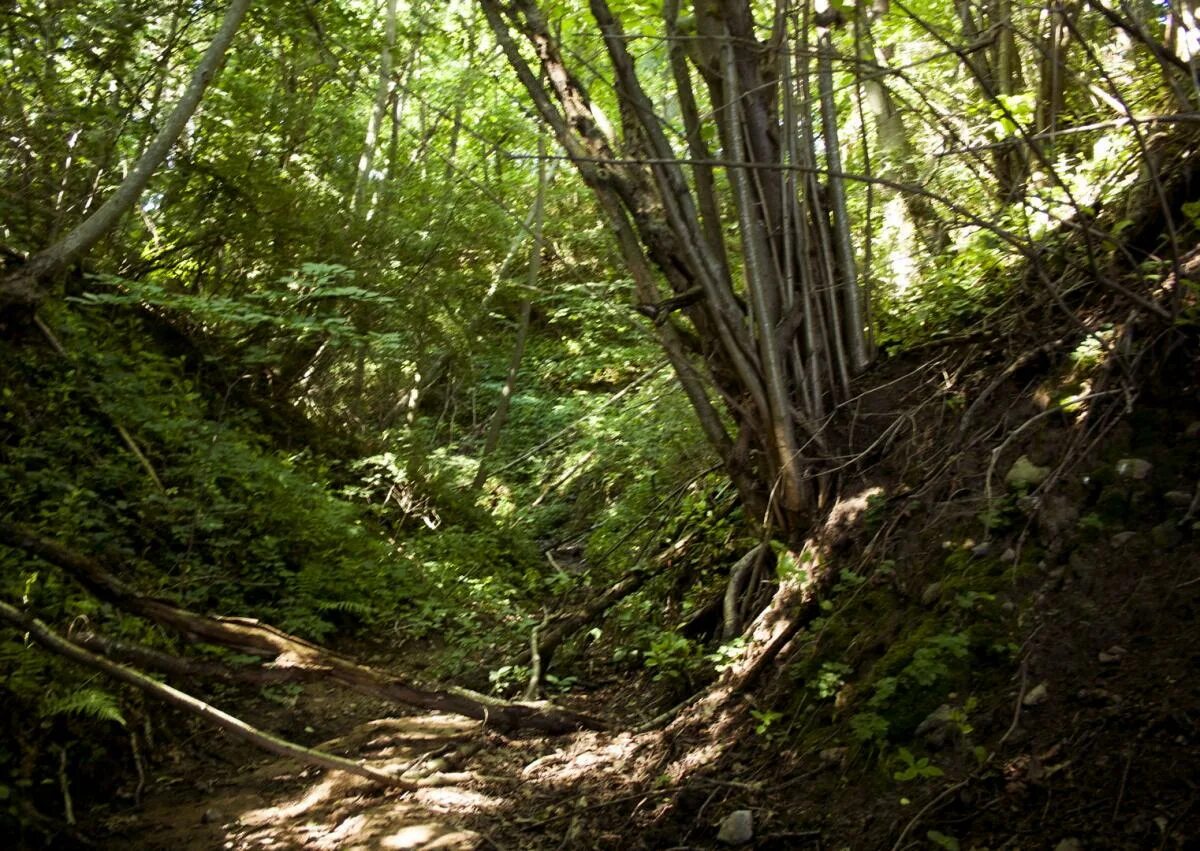 через глубокое ущелье или овраг