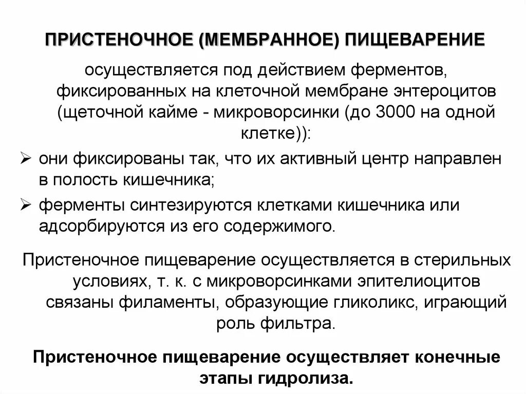 Что такое пристеночное пищеварение. Пристеночное и полостное пищеварение в тонком кишечнике. Пристеночное и мембранное пищеварение. Пристеночное мембранное пищеварение происходит в. Полостное и мембранное пищеварение физиология.