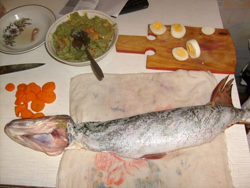 Щука куски. Блюда из речной рыбы. Сколько варить щуку. Рыба фаршированная заливная. Чешуя щуки.