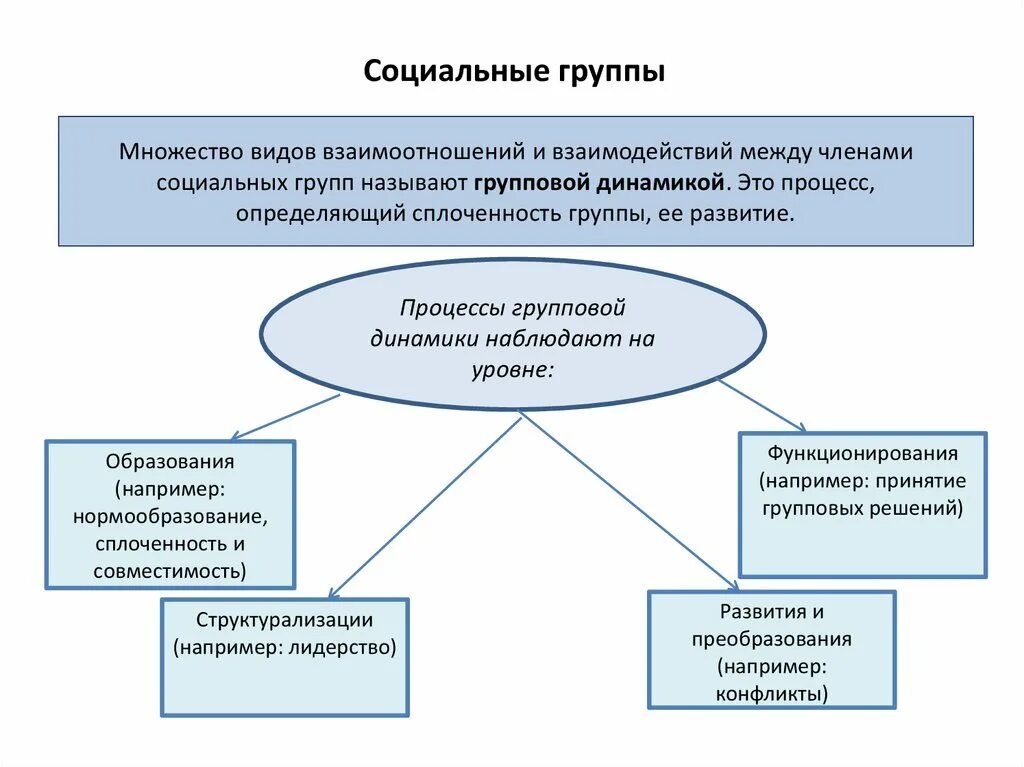 Социальные отношения социальные группы