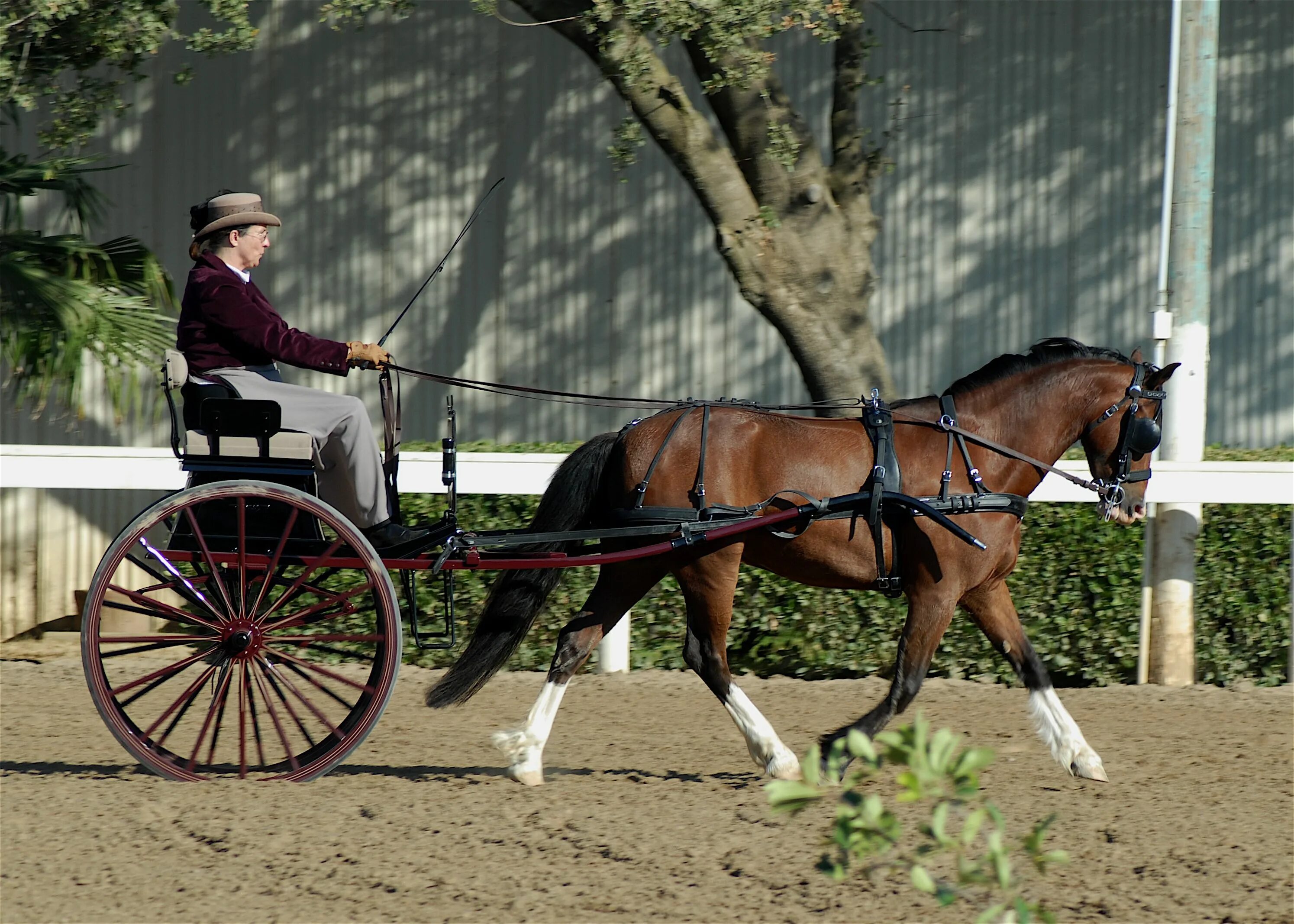 Driving horse