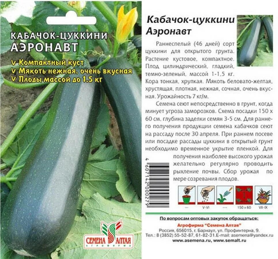 Кустовой кабачок в открытом. Кабачок-цукини аэронавт 2г интерсемя. кабачок сорт аэронавт. кабачок аэронавт (цуккини) 2 г. лучшие сорта цукини для открытого грунта.