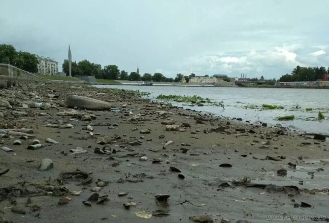 Вода в реке сура. Река Сура Пенза. Загрязнение реки Сура Пенза. Река Сура загрязнена. Сура река загрязнения.