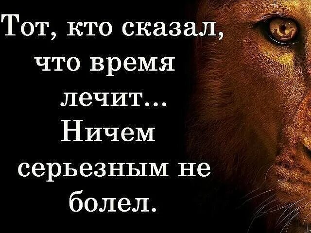 Кто сказал время лечит от боли. Выражение время лечит. Время не лечит. Время не лечит высказывания. Кто сказал что время лечит.