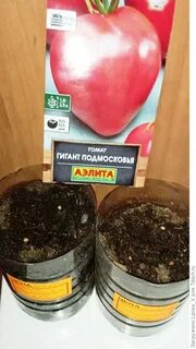 Гигант подмосковья отзывы