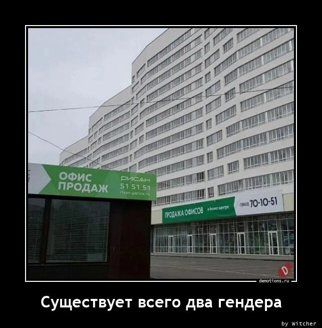 Есть только два гендера. Есть только два гендера