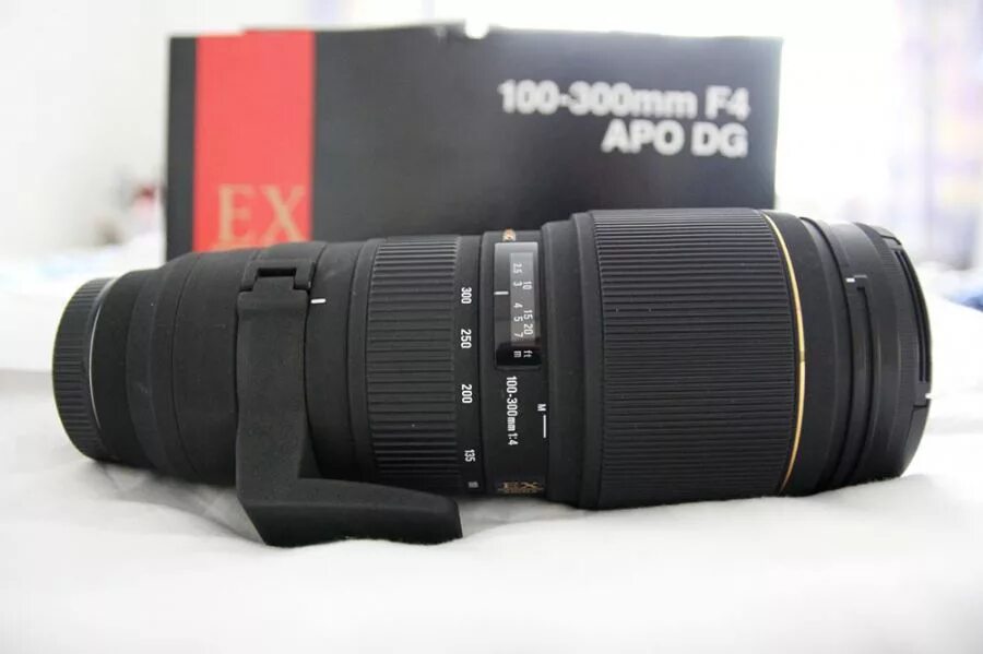 Sigma 100-300 f4. Sigma 100-300mm f4 apo DG HSM ex. Sigma 300 f4. Sigma apo 300mm 4.