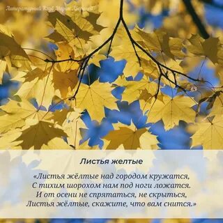 Осень желтая листва текст