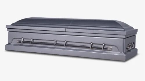 Rule 34 coffin. Серебряный гроб. silver coffin. closed casket.