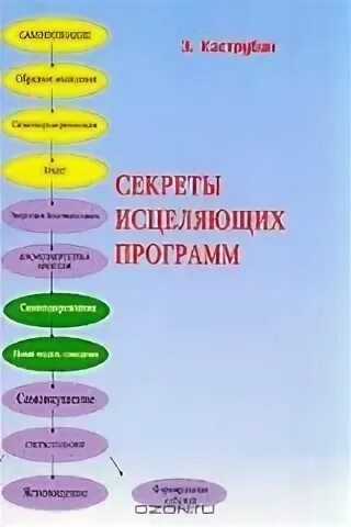 Э каструбин. Каструбин. Исцеляющие программы. Исцеление зрения и слуха. Программа исцеления.