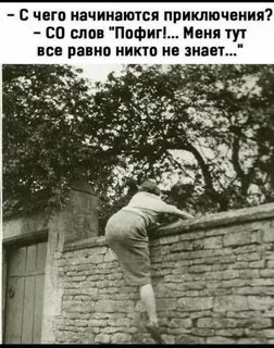 Мне пофиг я сделан из мяса