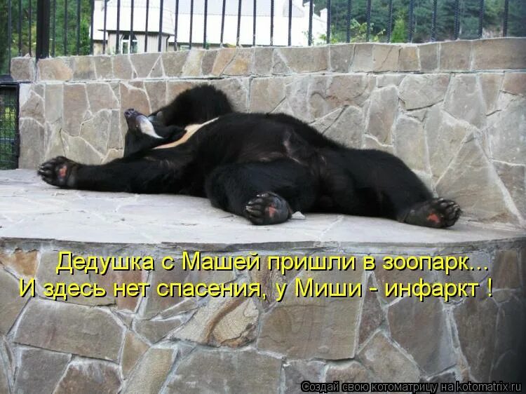 спасите прикол. зоопарк мультяшный. зоопарк с животными для детей. зоопарк мультяшный. приходите в зоопарк.