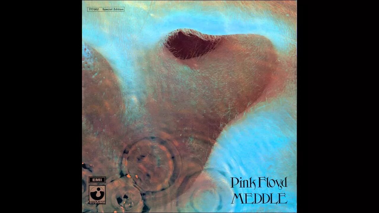 Pink Floyd meddle 1971. Pink Floyd meddle 1971 обложка альбома. Pink Floyd meddle обложка. Обложка альбома meddle группы Pink Floyd.