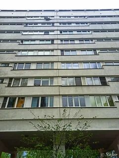 Флейта зеленоград