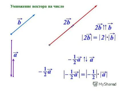 Вектор а умножить на вектор а равно