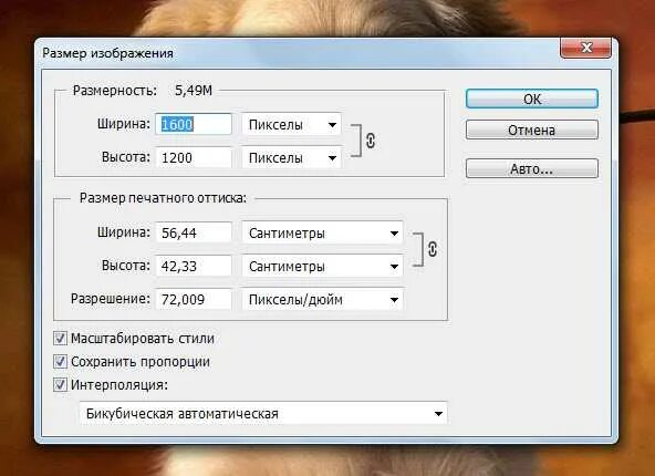 Уменьшить размер картинки. Уменьшение размера изображения. Как уменьшить картинку без потери качества. Убавить размер изображения. Как уменьшить вес картинки.