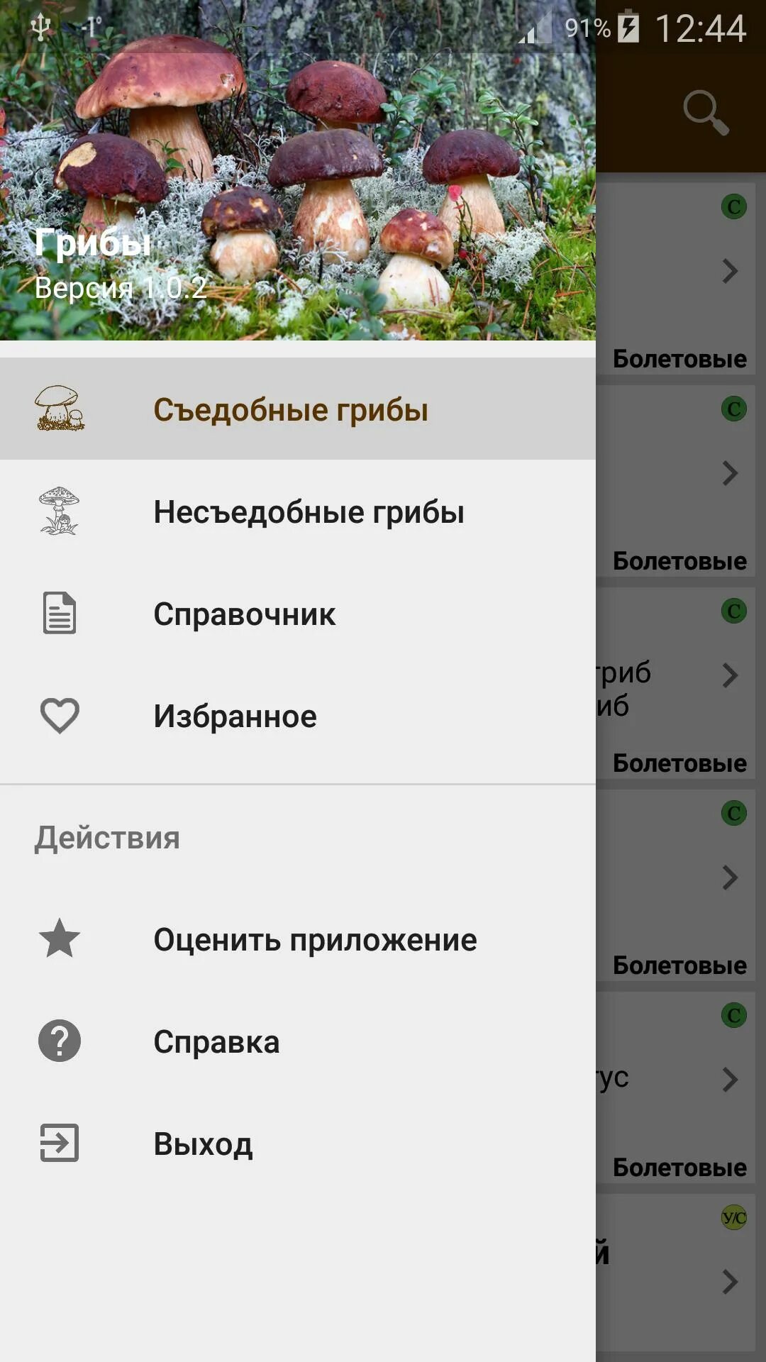 Приложение грибочки. Приложение определяющие грибы по фото.