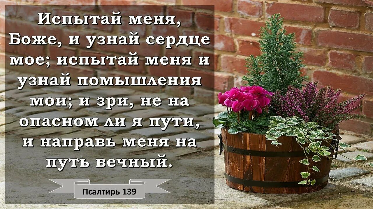 Открытка стих из библии. Открытки со стихами из Библии. Христианские стихи из Библии. Христианские открытки с Цитатами из Библии. Христианские открытки со стихами из Библии.