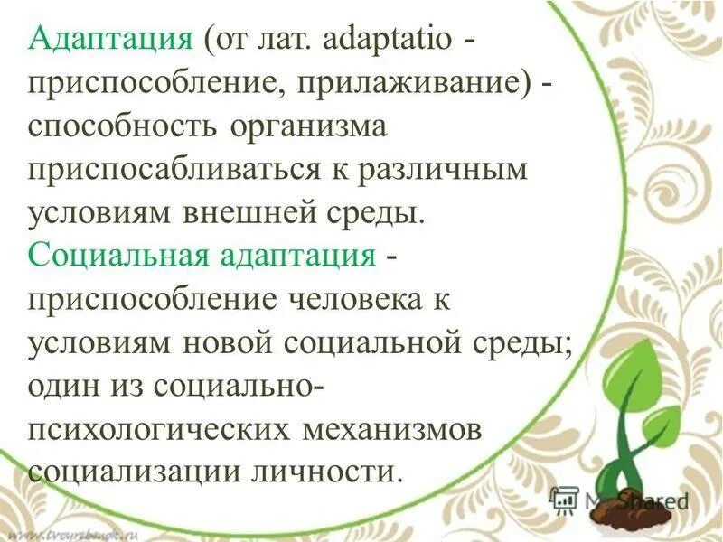 адаптация человека к среде обитания. способность к адаптации. способность приспосабливаться к условиям среды;. процесс адаптации человека. виды адаптации бжд.