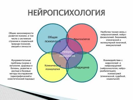 Система жизни психология
