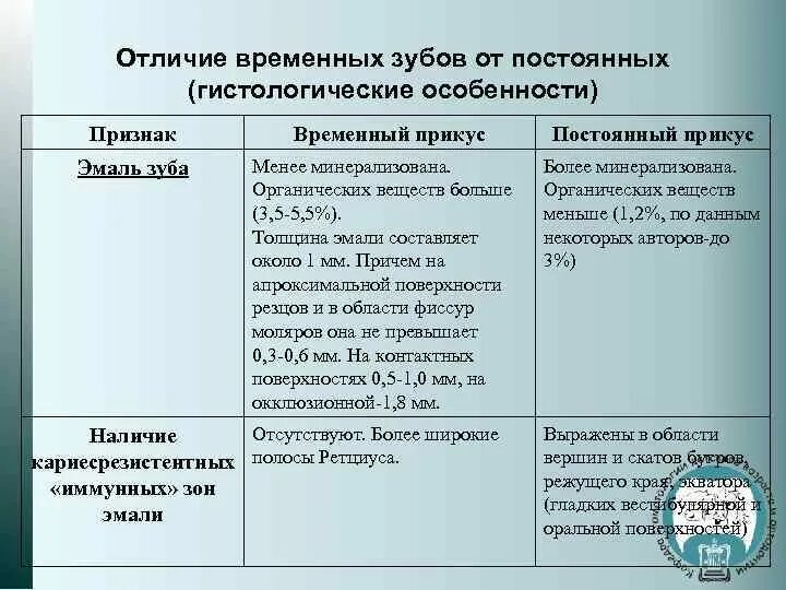 Группы по временному признаку. Особенности строения временных зубов. Отличия временных и постоянных зубов. Гистологические отличия временных и постоянных зубов. Отличие временных зубов от постоянных.