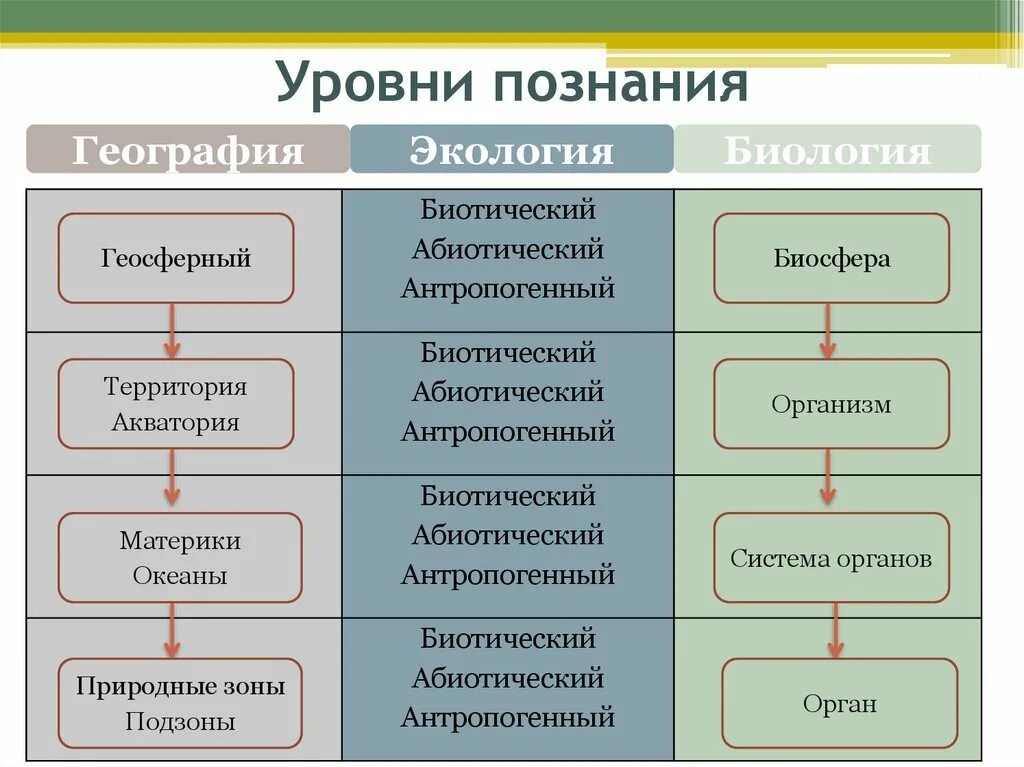 Что относится к познанию. Уровни познания. Познание уровни познания. Назовите уровни познания. Три уровня познания.