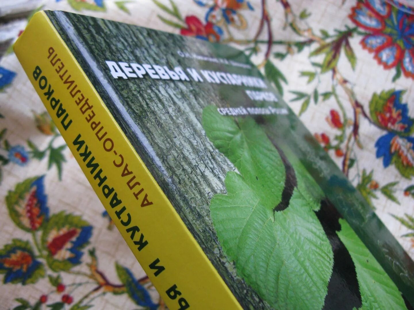 Атлас деревьев и кустарников. Атлас деревьев и кустарников