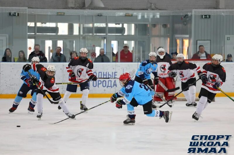Сигнал челябинск хоккей. Метеор сигнал 2011. Метеор хоккейная команда челябинск. Метеор сигнал 2011. Сигнал метеор челябинск 2008.
