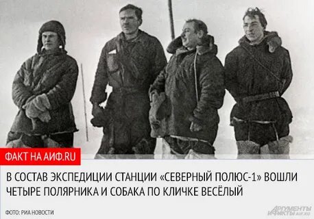 Станция северный полюс папанин 1920 1930 краткое