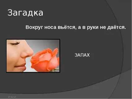 Около носа вьется а в руки