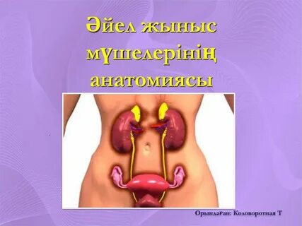 Ауруханадағы қарт адаммен медбике жыныстық қатынас видео