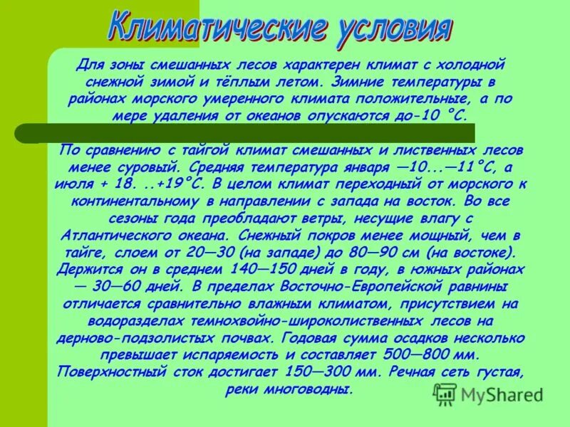 Леса россии климатические условия