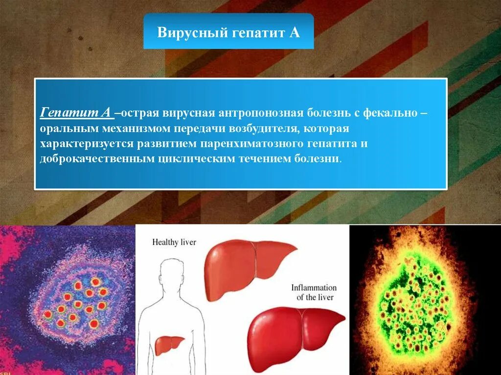 Вирус гепатита 6. Вирусный гепатит а это кишечная инфекция. Механизм передачи возбудителя гепатитов. Вирусные гепатиты. Вирус гепатита с возбудитель.