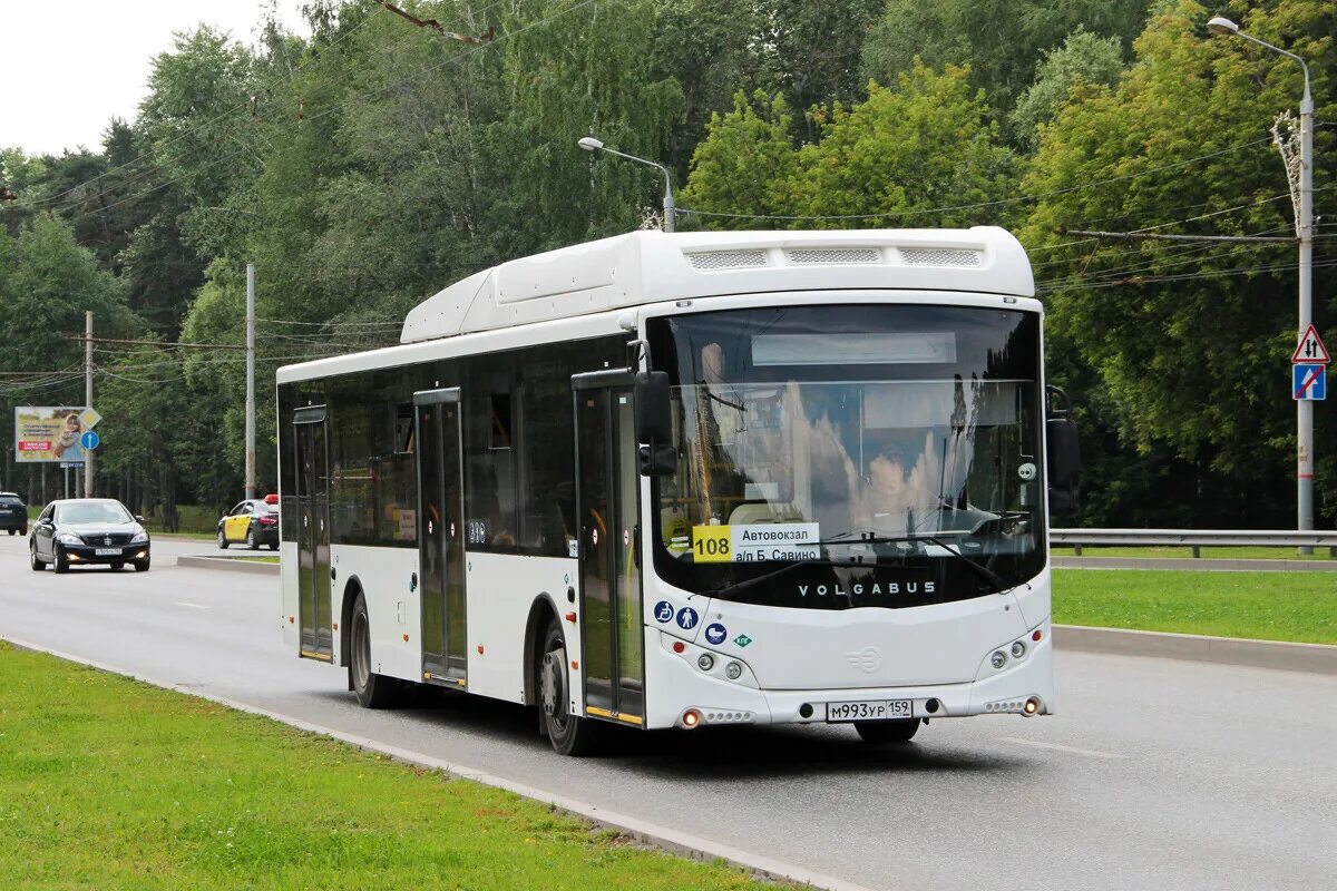 Автобусы пермь 16 на сегодня. Волгабас 5270 джи2 Пермь. Волгабус автобусы Пермь. Автобусы Перми 2022. Пермский автобус VOLGABUS.