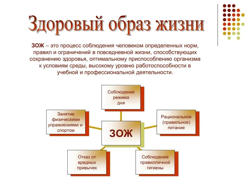 Здоровый образ жизни категории. Образ жизни виды. Здоровый образ жизни. Типы здорового образа жизни. Категории ЗОЖ.