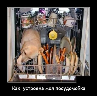Я женщина а не посудомойка