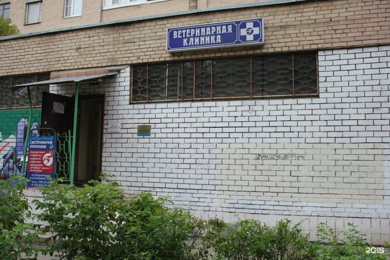 Ул семашко 4. Авет ветеринарная клиника мытищи. ветклиника мытищи семашко 43 авет. ветклиника семашко в перловке мытищи. ветеринарная клиника перловская.