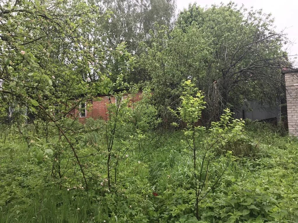Никольско-архангельский микрорайон балашиха. Стародачный посёлок кратово. Участки никольско архангельское. Участки никольско архангельское. 17 соток это много.