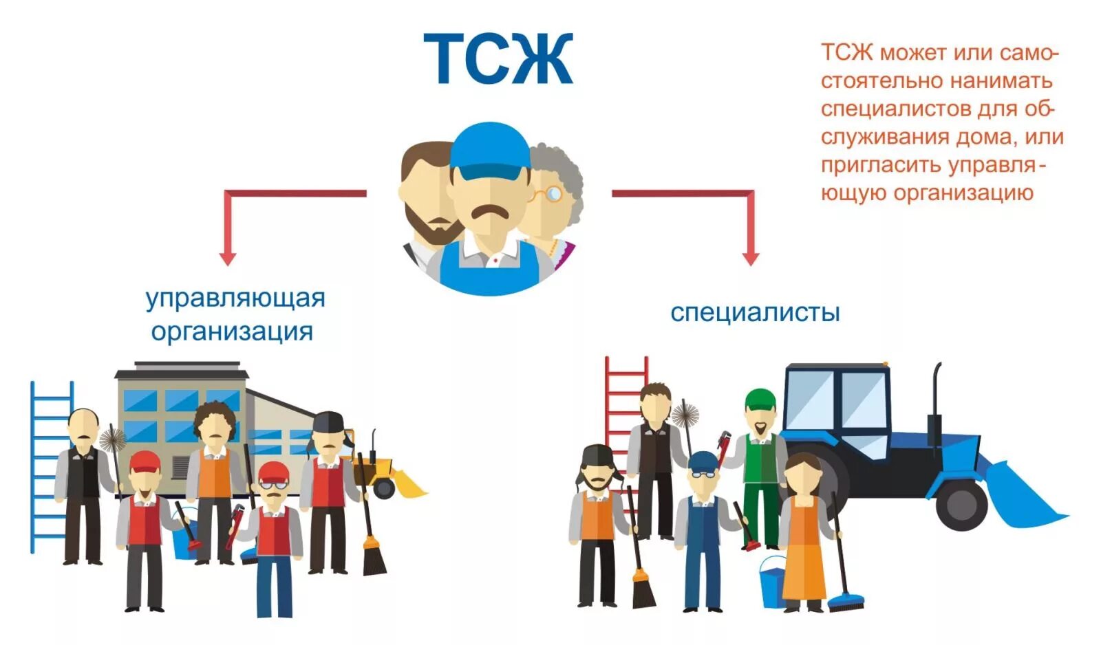 ТСЖ. Товарищество собственников жилья (ТСЖ). Управляющая компания или ТСЖ. ТСЖ управляющая компания. Управление многоквартирным домом кооперативом