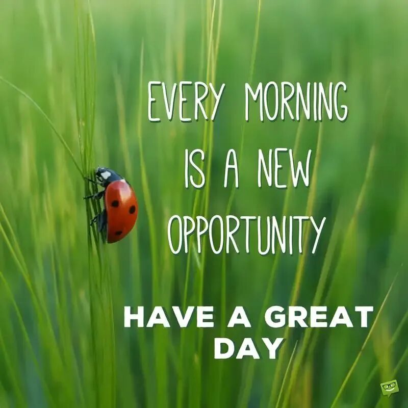 Make this day good. Have a great Day. Have a great Day открытки. Good morning have a great Day. Have a good Day картинки.