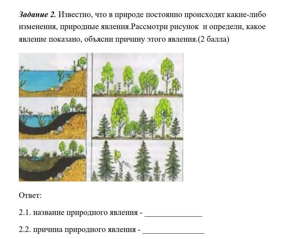 Изменения происходят всегда. В природе постоянно происходят изменения. Какое явление изображено на рисунке. Какое явление показано на рисунке. Какое явление наблюдается на рисунке?.