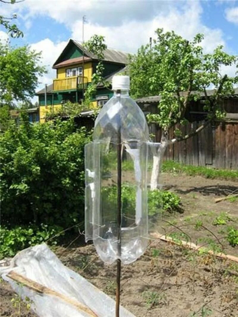 Отпугиватель кротов бутылка. Флюгер от кротов. Вертушка трещетка отпугиватель кротов. Вертушка отпугиватель кротов ветряной. Ветряк из пластиковой бутылки для отпугивания птиц.