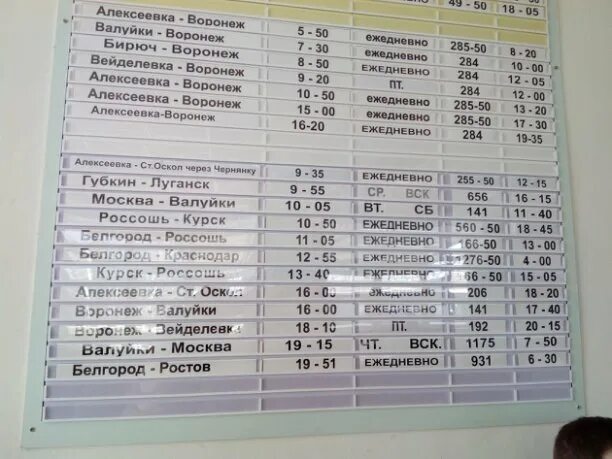 Расписание. Расписание электричек старый оскол валуйки. Билеты воронеж губкин. Расписание автобусов белгород. Автовокзал белгород расписание.