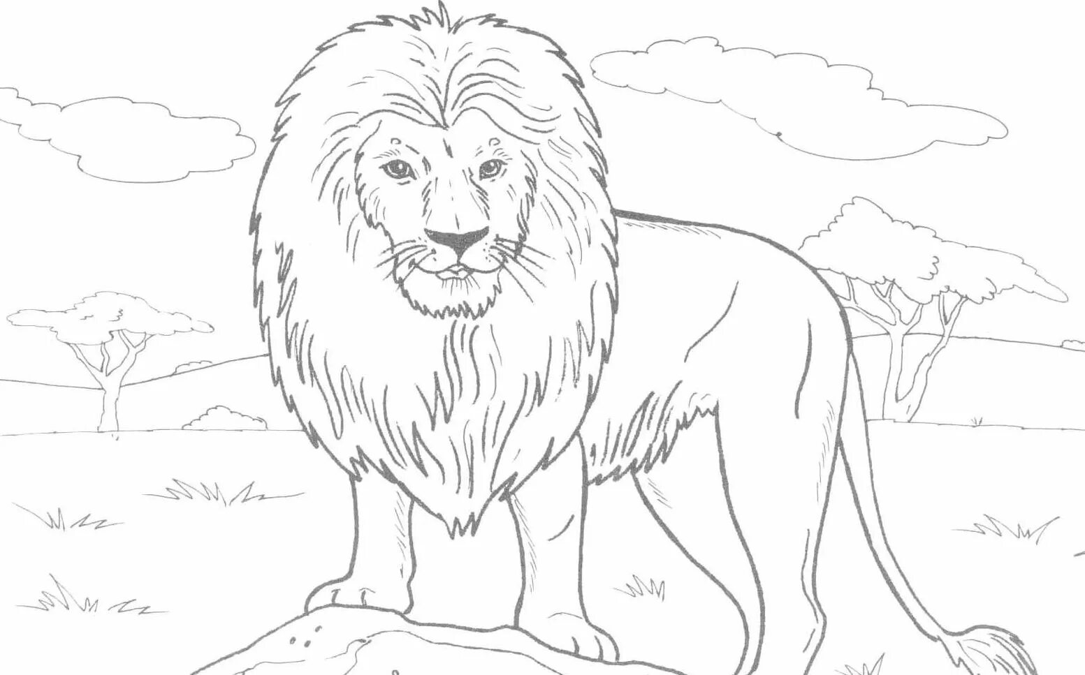 דף צביעה עם גור כלב חמוד Puppy coloring pages, Coloring pages, Dogs and puppies