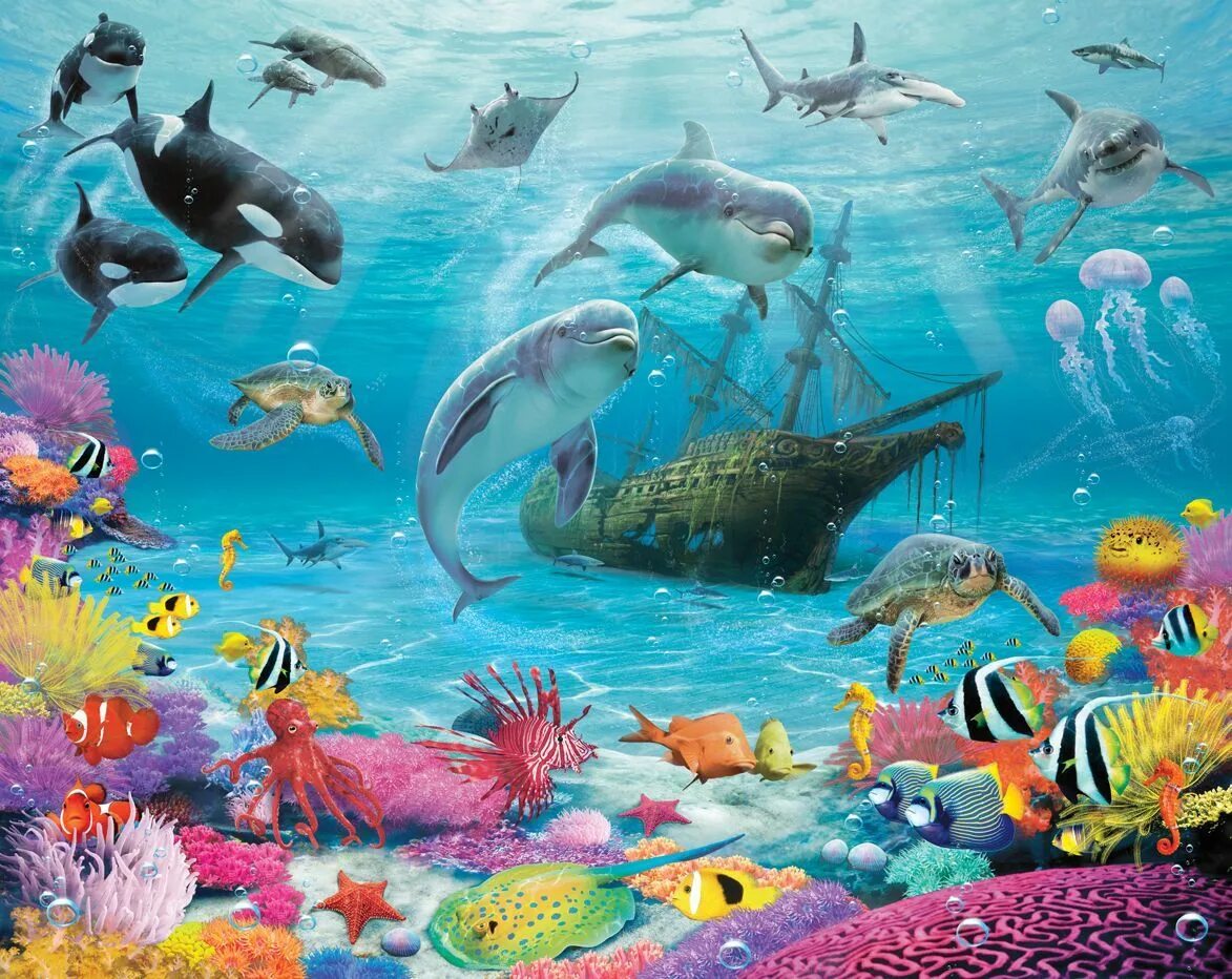 3 d ocean