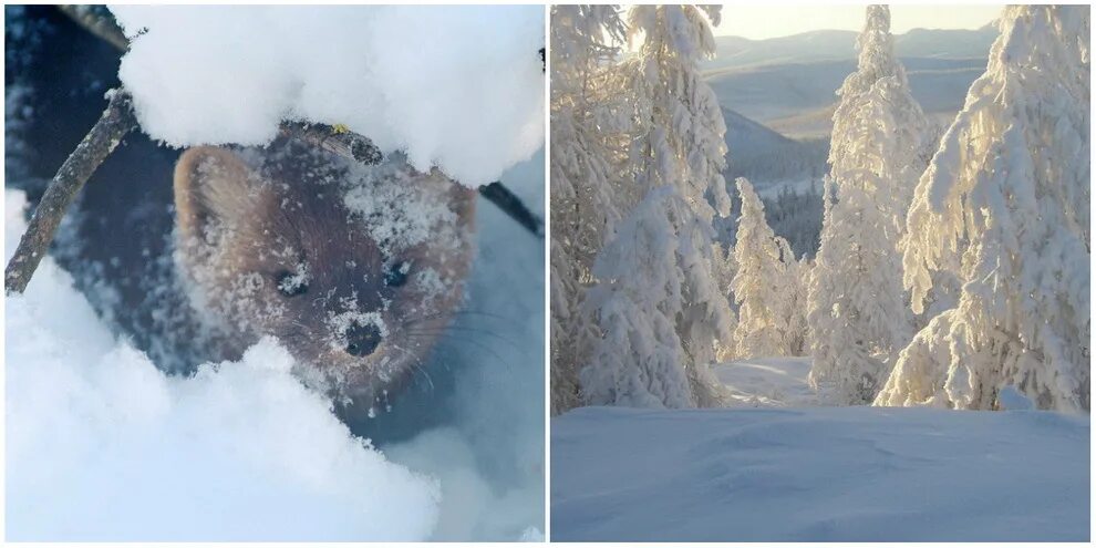 одно из самых холодных мест северного полушария. полюс холода северного полушария в россии. одно из самых холодных мест северного полушария. летние месяцы в южном полушарии. одно из самых холодных мест северного полушария.
