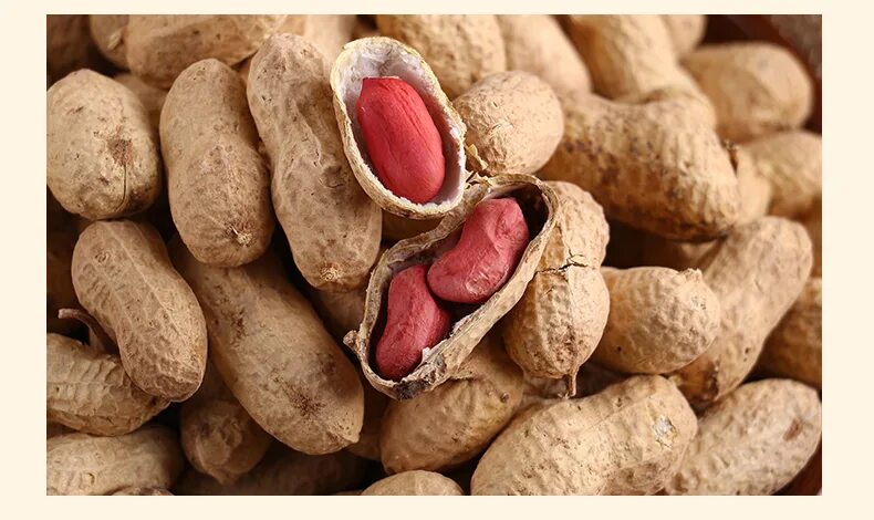 Семена арахиса. Орехи в красной оболочке. Арахис в сладкой оболочке. Арахис красный.