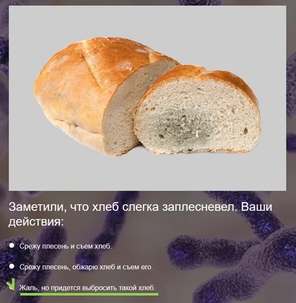 Почему нельзя есть горячий хлеб. Почему хлеб быстро плесневеет. приметы о хлебе. плесень на бездрожжевом хлебе. почему появляется плесень на хлебе.