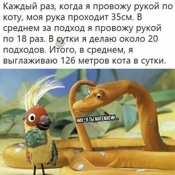 Считают удава. Попугай меряет удава. Мерить в попугаях. 38 Попугаев удав. Длина попугаев.